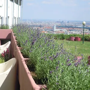 Palace Vienne
